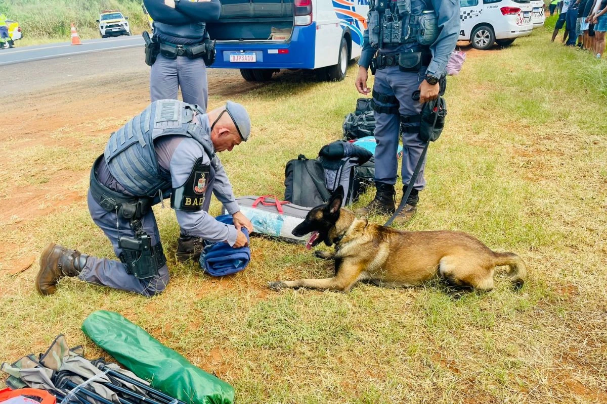 Polícia Militar detém 13 pessoas e apreende drogas em festival de música eletrônica em Pirassununga