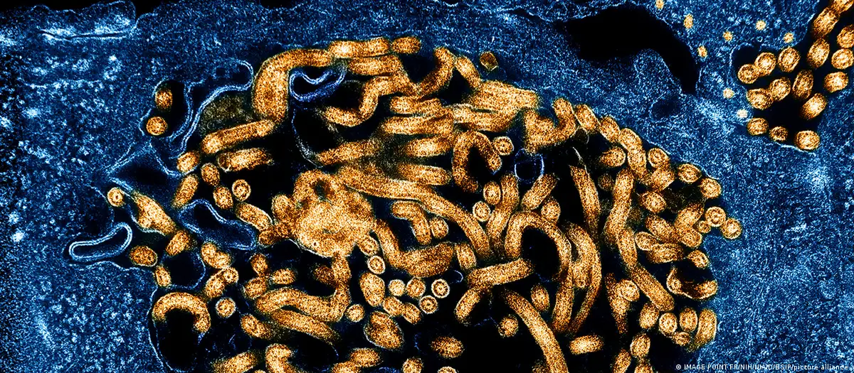 Surto de Ebola no Congo e Uganda acende alerta global de saúde – imagem do artigo