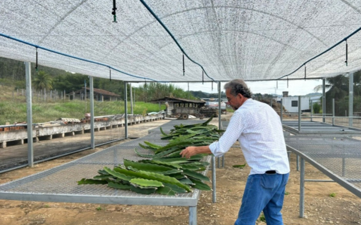 Espaço em Italva se destaca na formação e pesquisa para a agricultura familiar no Rio