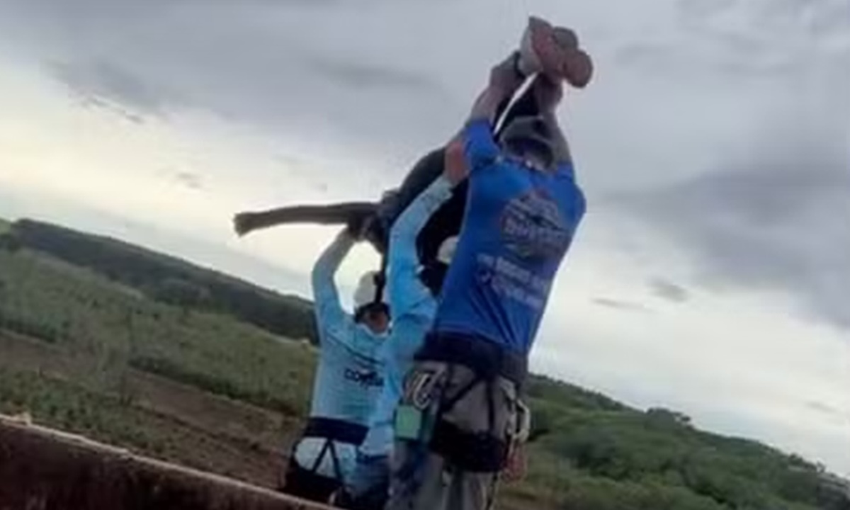 Tragédia no Rope Jumping: Mulher morre ao saltar sem proteção em Limeira