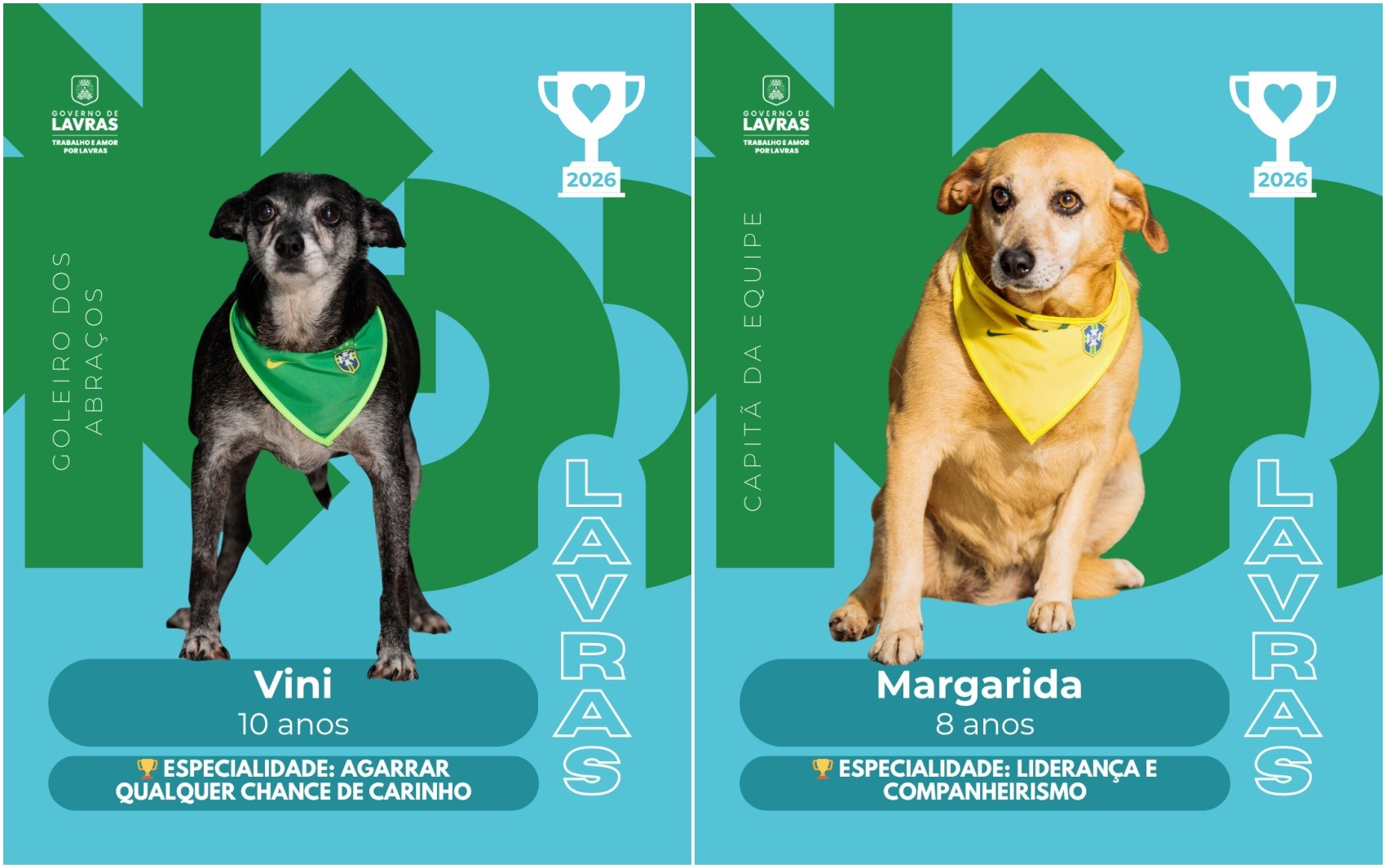 “Craques da Adoção”: Campanha em Lavras transforma cães em estrelas da Copa para incentivar adoção