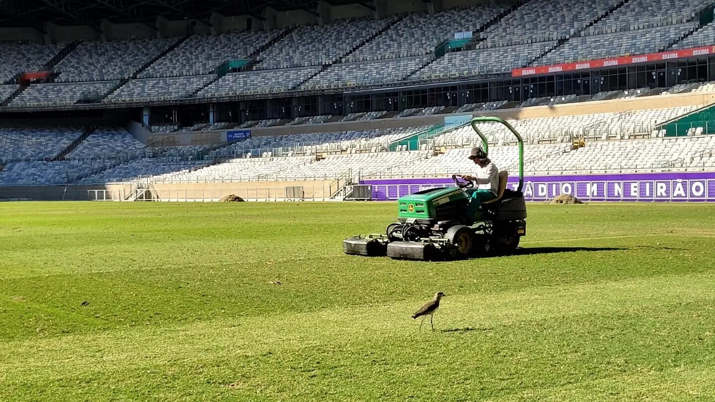 Mineirão inicia plantio de gramado de inverno para temporada 2026 durante pausa da Copa