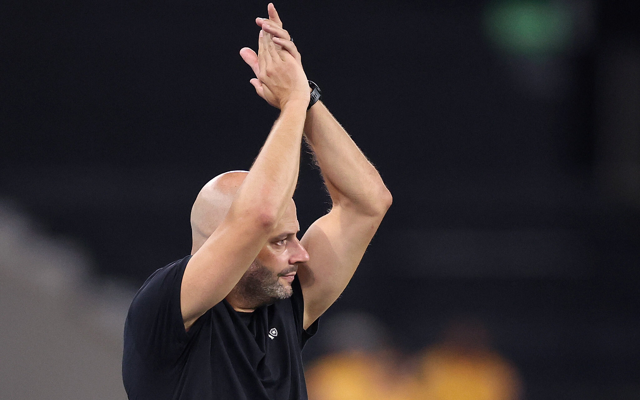 Franclim Carvalho encara desafio no Botafogo e busca estabilidade no Brasileirão