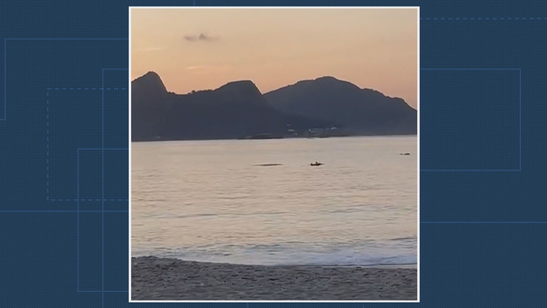 Golfinhos surpreendem banhistas na Praia do Flamengo e encantam o Rio em 2026
