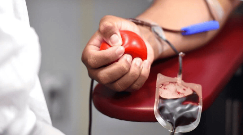 Junho Vermelho 2026: Hemopi usa Copa do Mundo para impulsionar doação de sangue