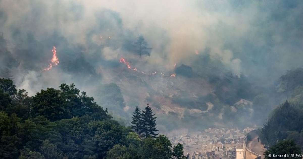 Incêndios florestais dominam Europa com temperaturas recordes e mobilização intensa