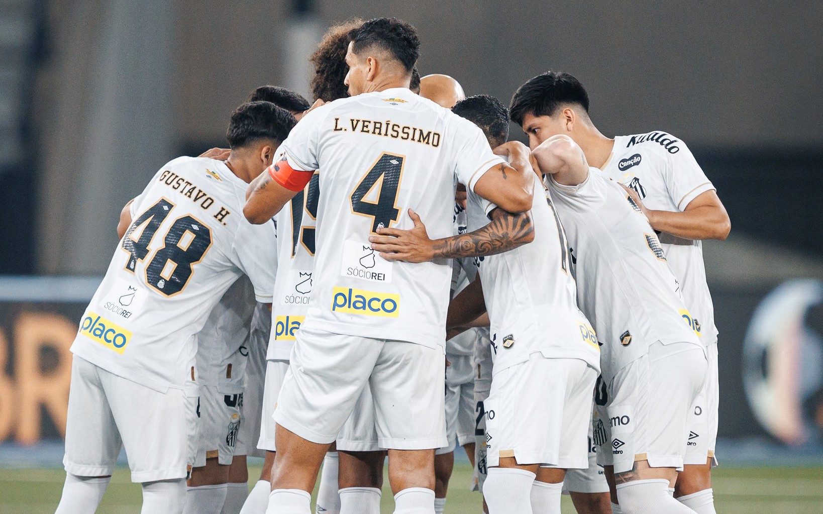 Santos Resiste e Quase Vira no Nilton Santos, Mas Botafogo Sai com Vitória Apertada