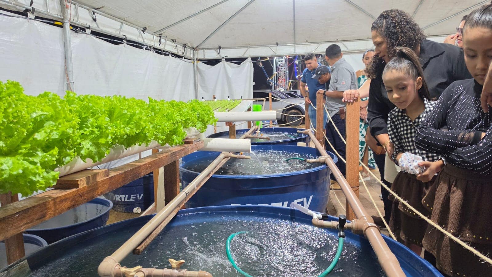 Expoacre Juruá destaca sistema inovador que une piscicultura e agricultura
