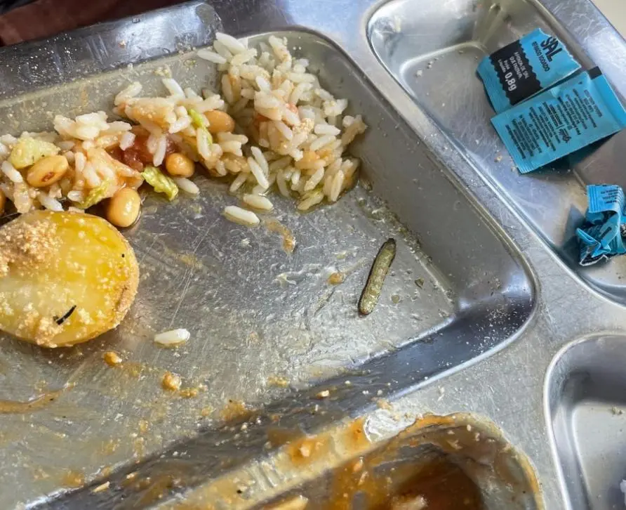 Notícia sem título – imagem do artigo