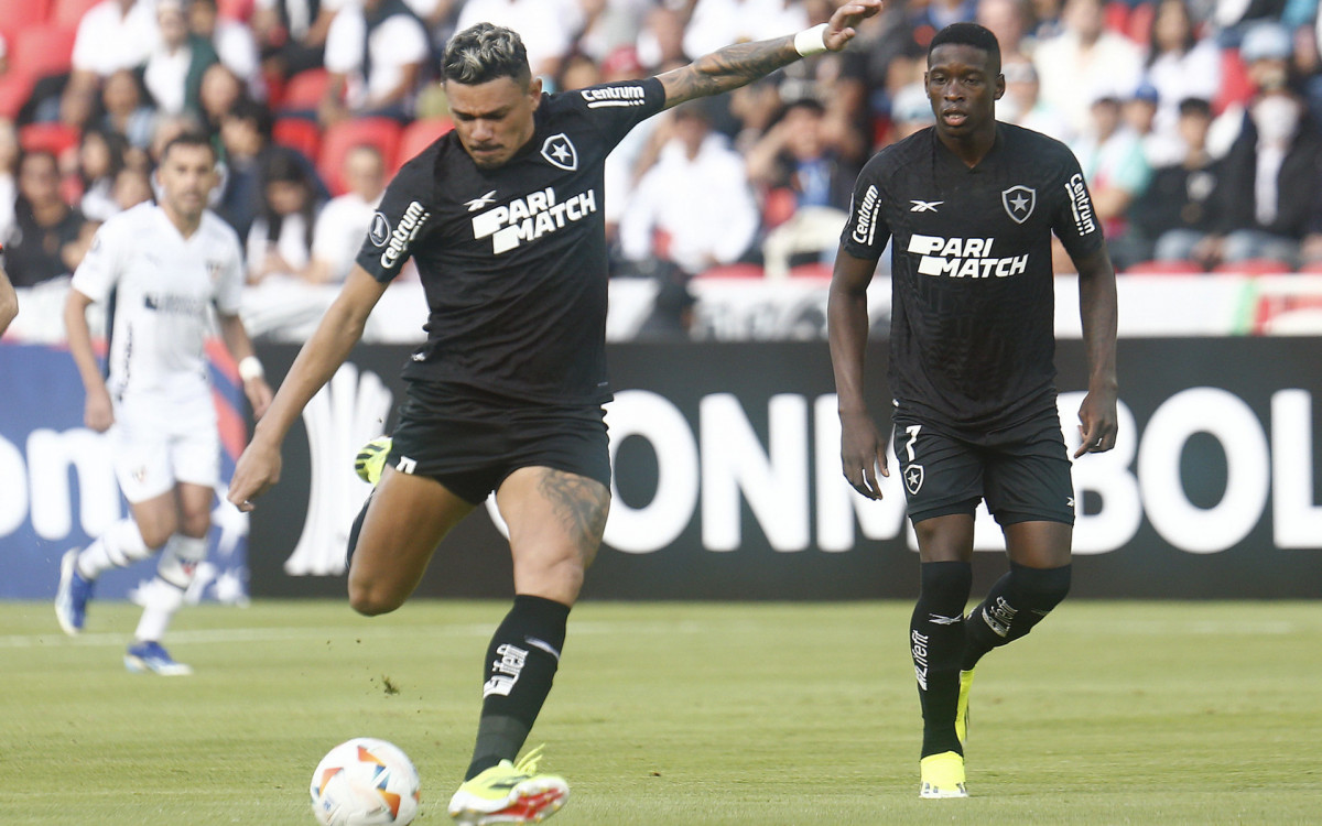 Tiquinho Soares Brilha e Garante Vitória do Botafogo contra Palmeiras no Nilton Santos