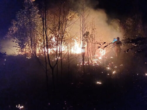 Fogo destrói área de 5 hectares em bairro de Arcos e mobiliza bombeiros