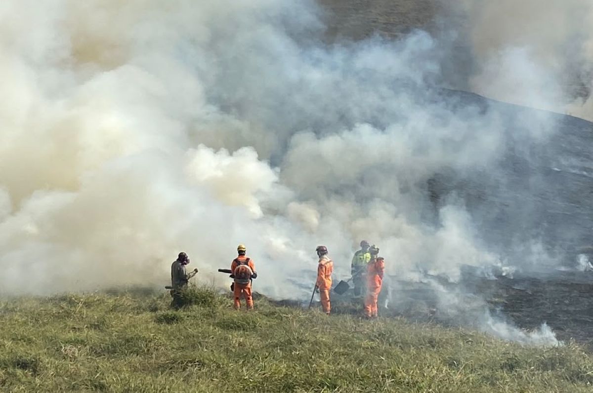 Incêndio no Parque Estadual do Krambeck destrói área equivalente a 50 campos de futebol