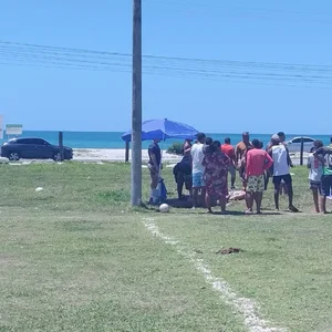 Notícia sem título