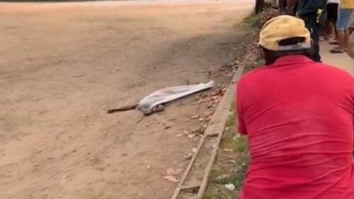 Notícia sem título