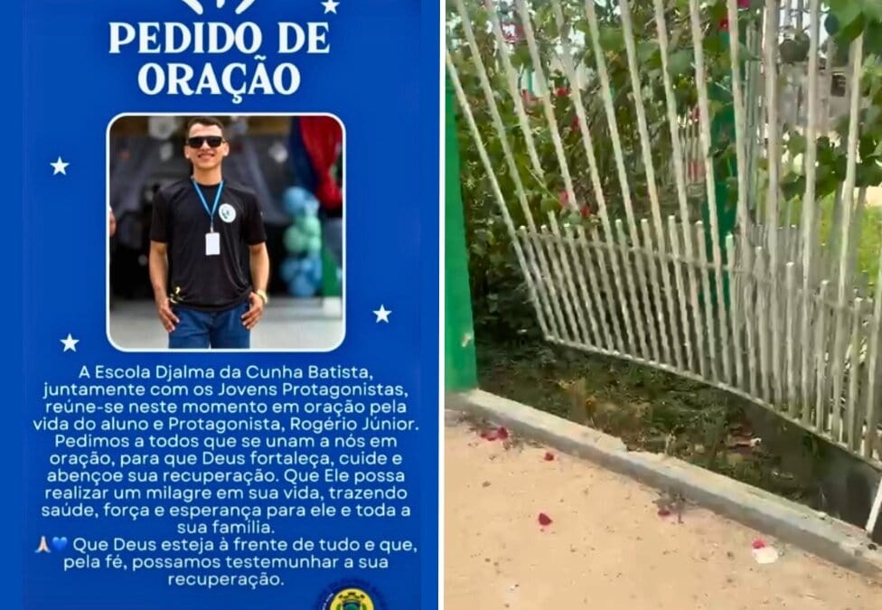 Notícia sem título – imagem do artigo