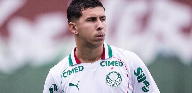 Felipe Teresa, promessa do sub-20 do Palmeiras, é afastado após acusação de agressão
