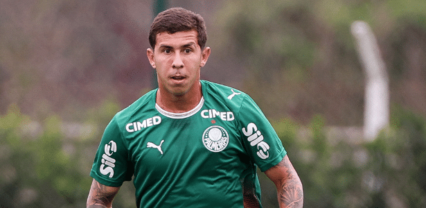Felipe Teresa segue afastado do Palmeiras após denúncia e clube busca solução – imagem do artigo