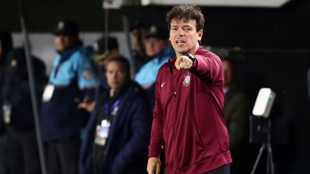 Fernando Diniz celebra empate do Corinthians na Argentina e destaca convocação à Seleção