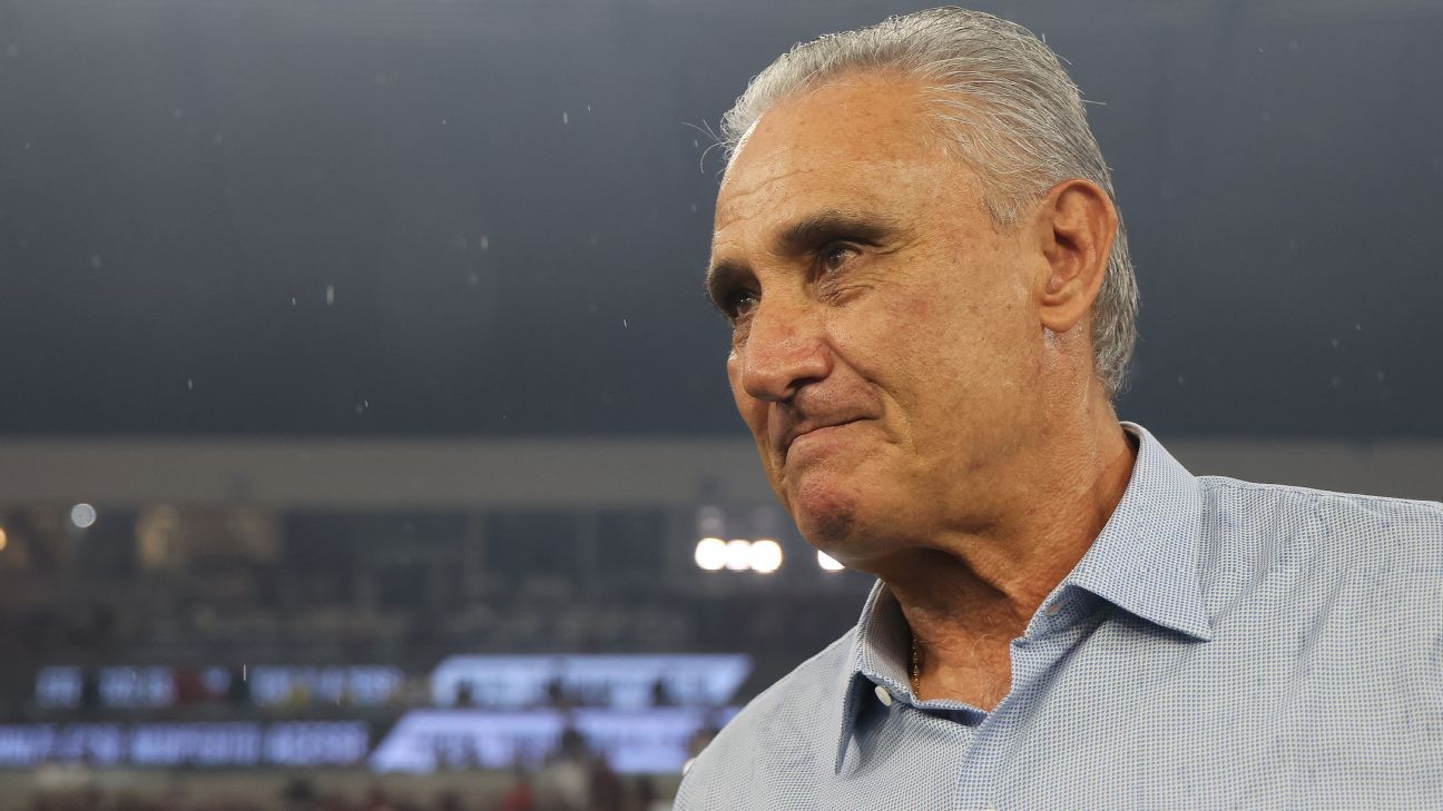 Botafogo mira Tite para assumir comando técnico em projeto de longo prazo